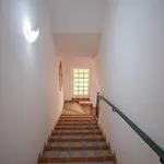 Rave B&B 3*